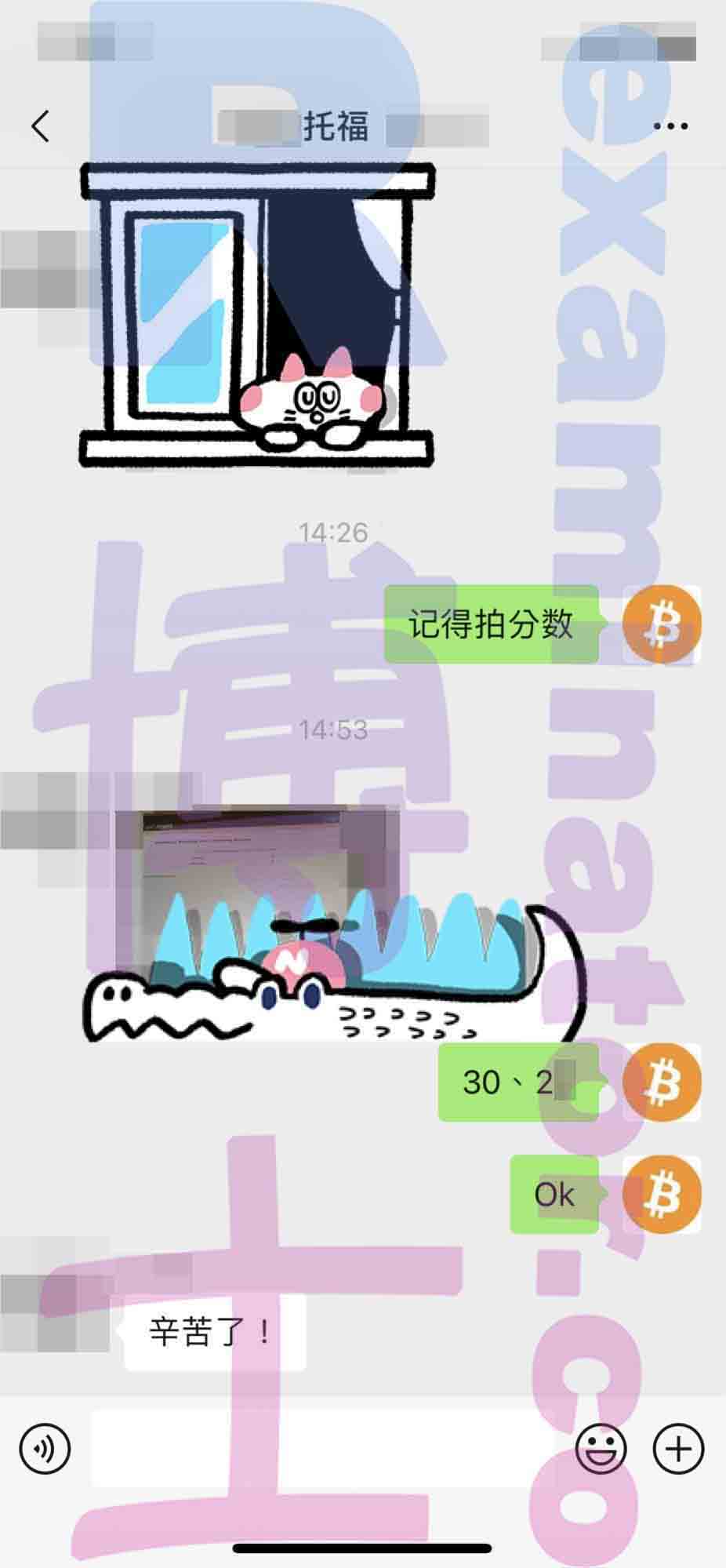 托福代考保分成功案例#206的与客户对话截图