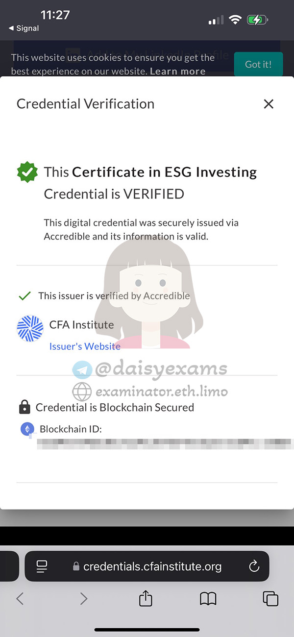 CFA Institute Sustainable Investing Certificate代考分数