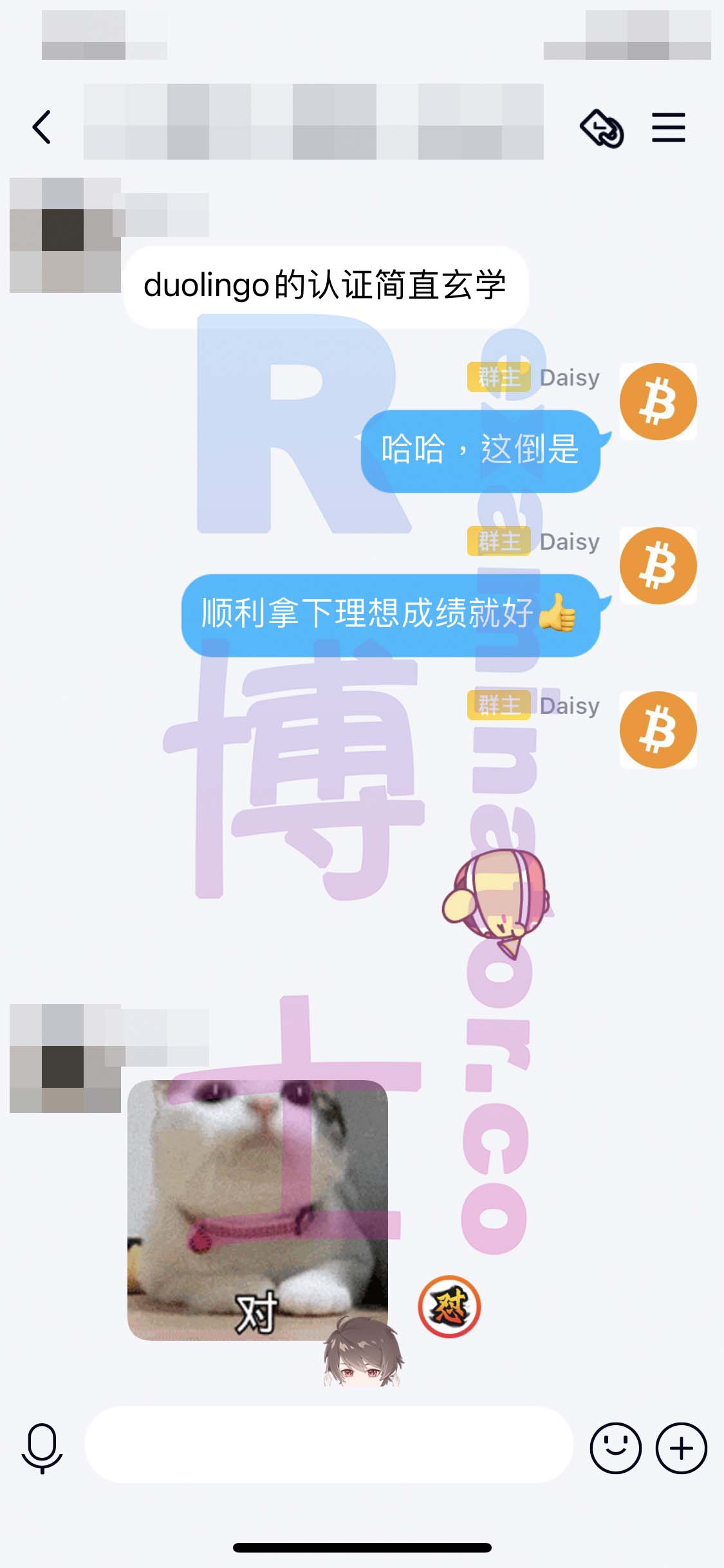 多邻国代考保分成功案例#176的与客户对话截图
