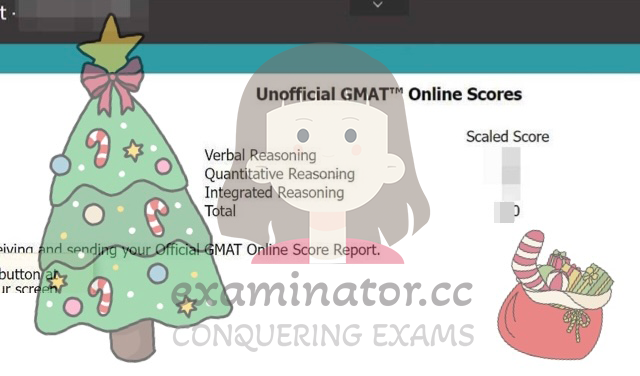 🇺🇸 Merry Christmas from from Our Team! 🎄 Get a Glimpse of Our Holiday Customer Chats – Plus, Our Proxy Exam Services Stay Active During Holidays! 👩🏻💻