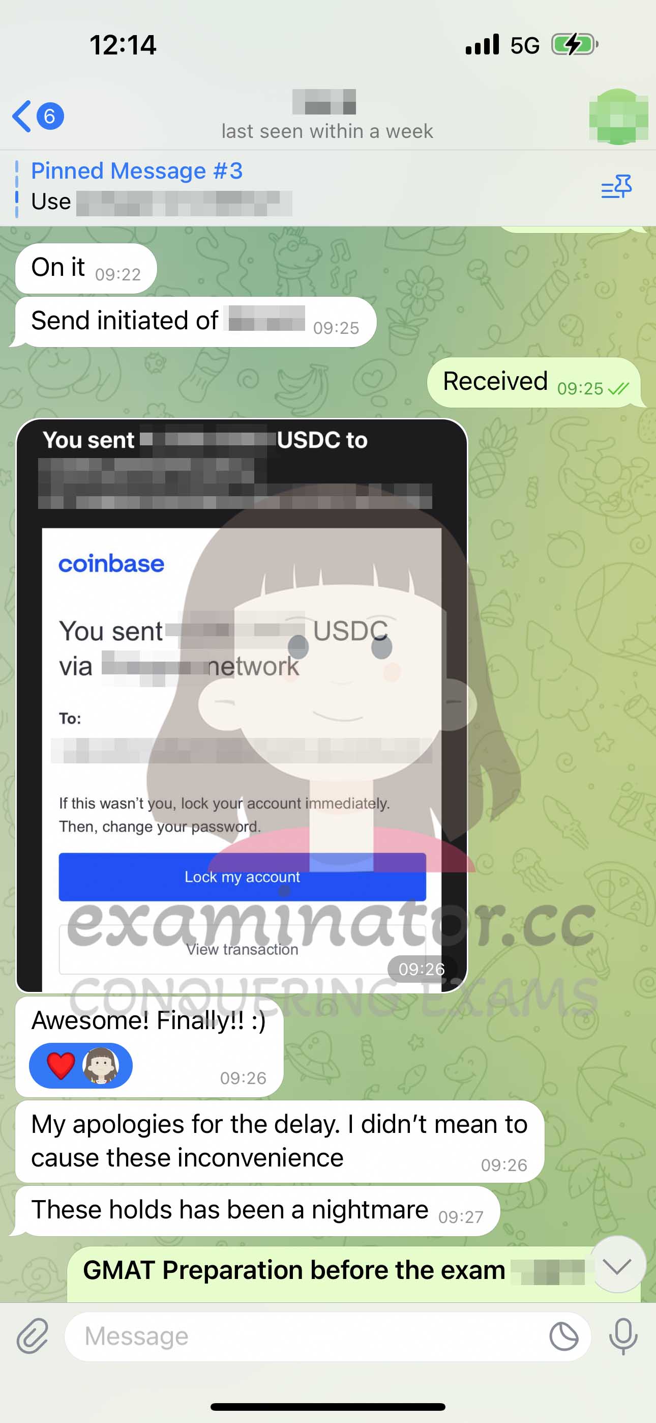 [GMAT代考保分]成功案例#386的对话截图