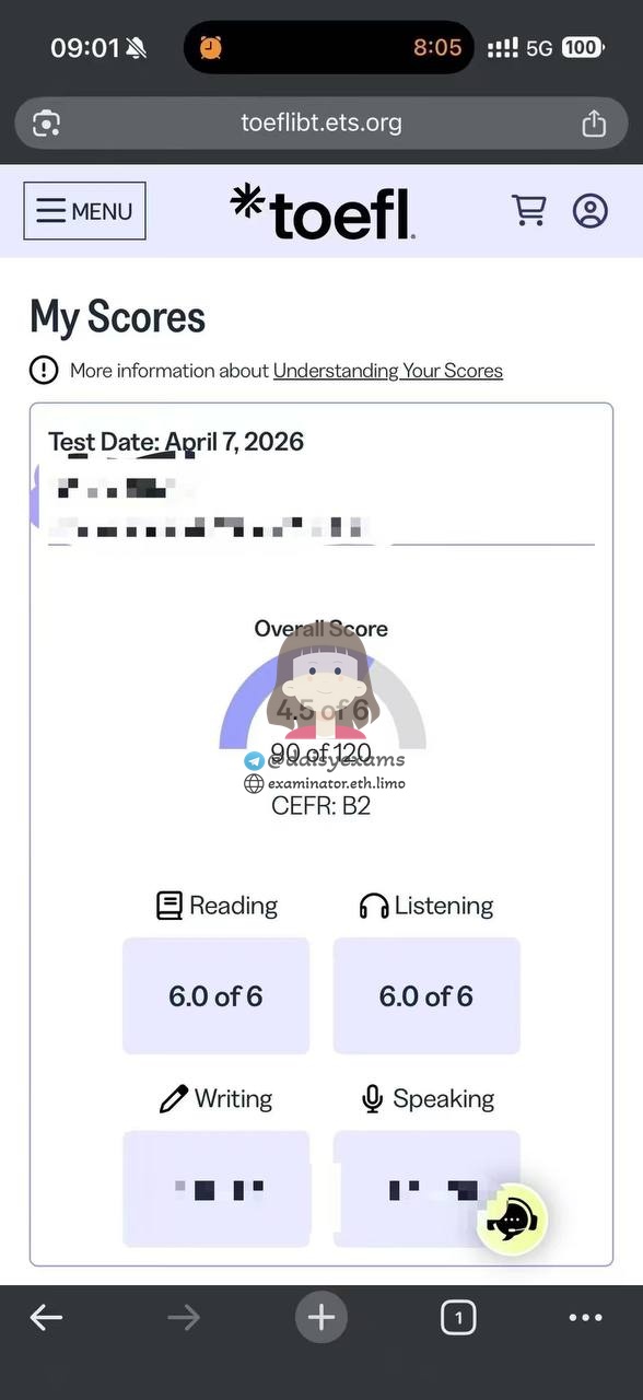 托福代考保分成功案例#741的与客户对话截图