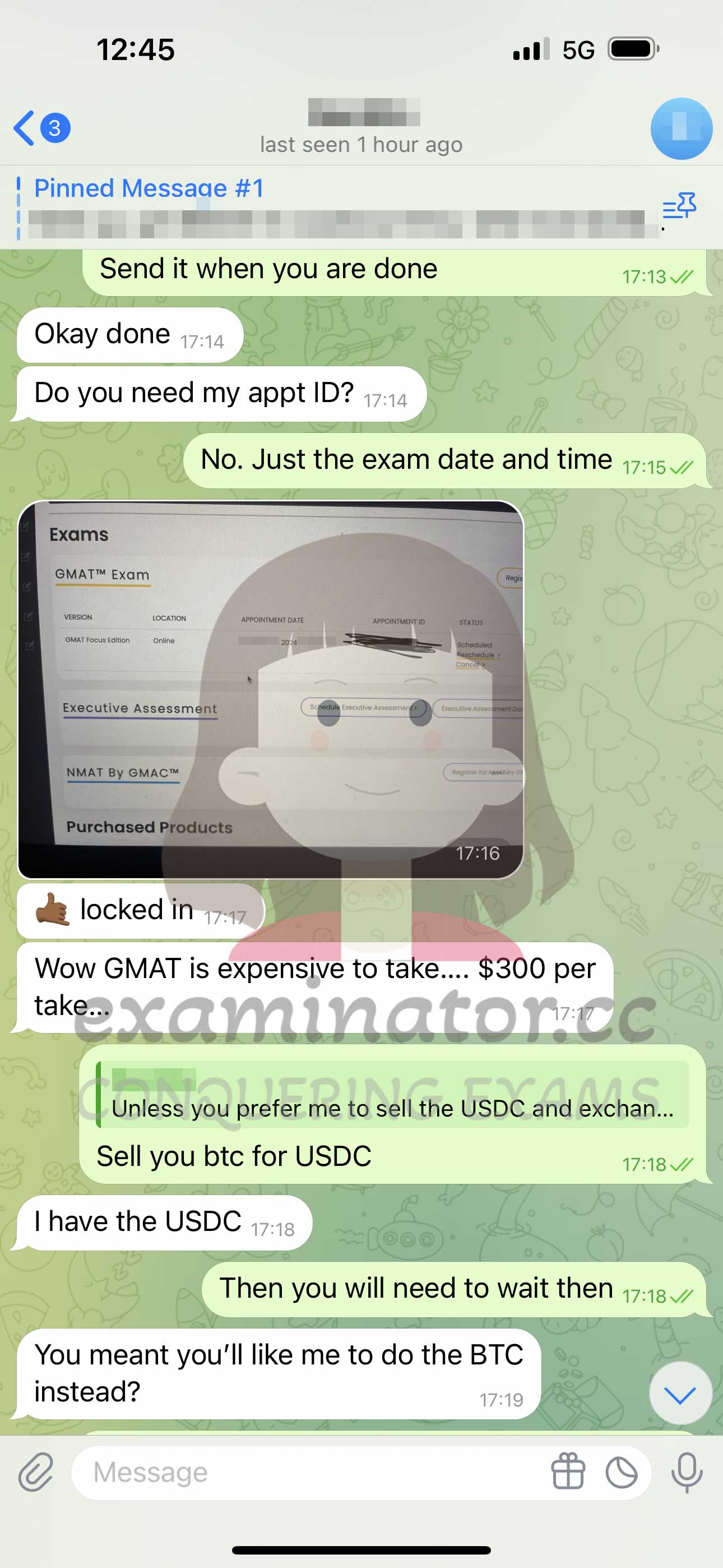 [GMAT代考保分]成功案例#393的对话截图