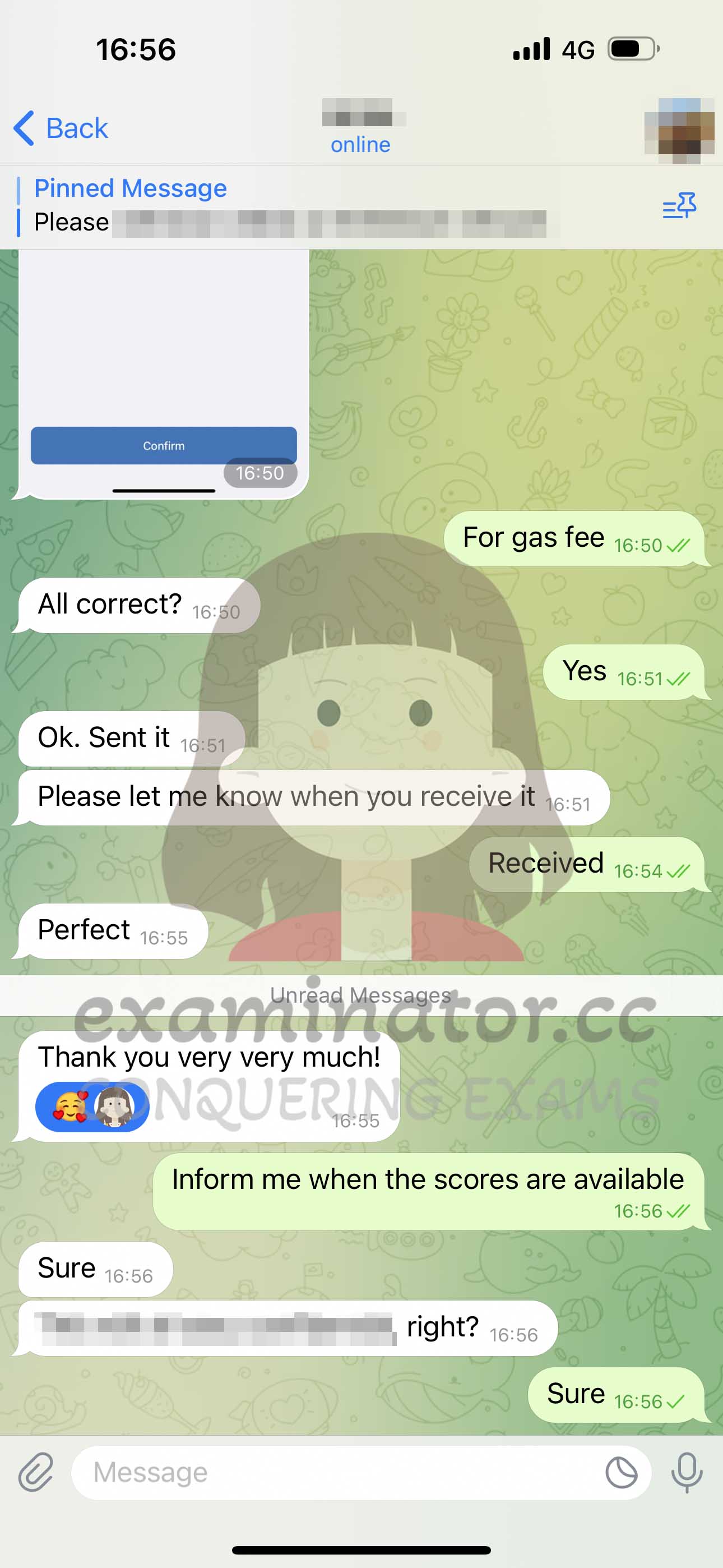GMAT代考保分成功案例#613的与客户对话截图