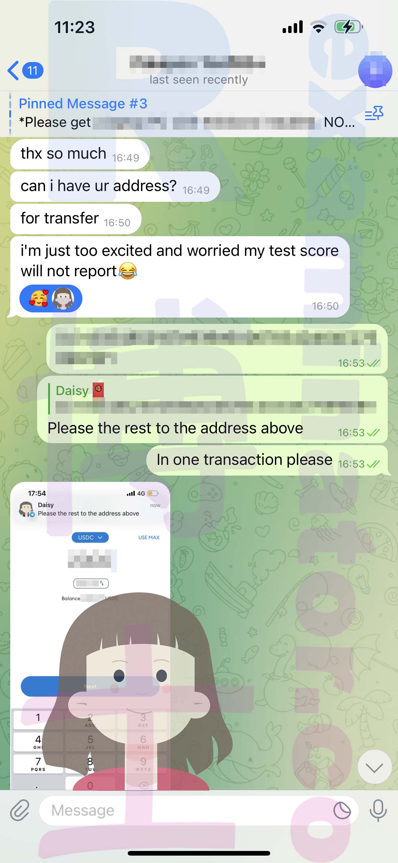 托福代考保分成功案例#533的与客户对话截图