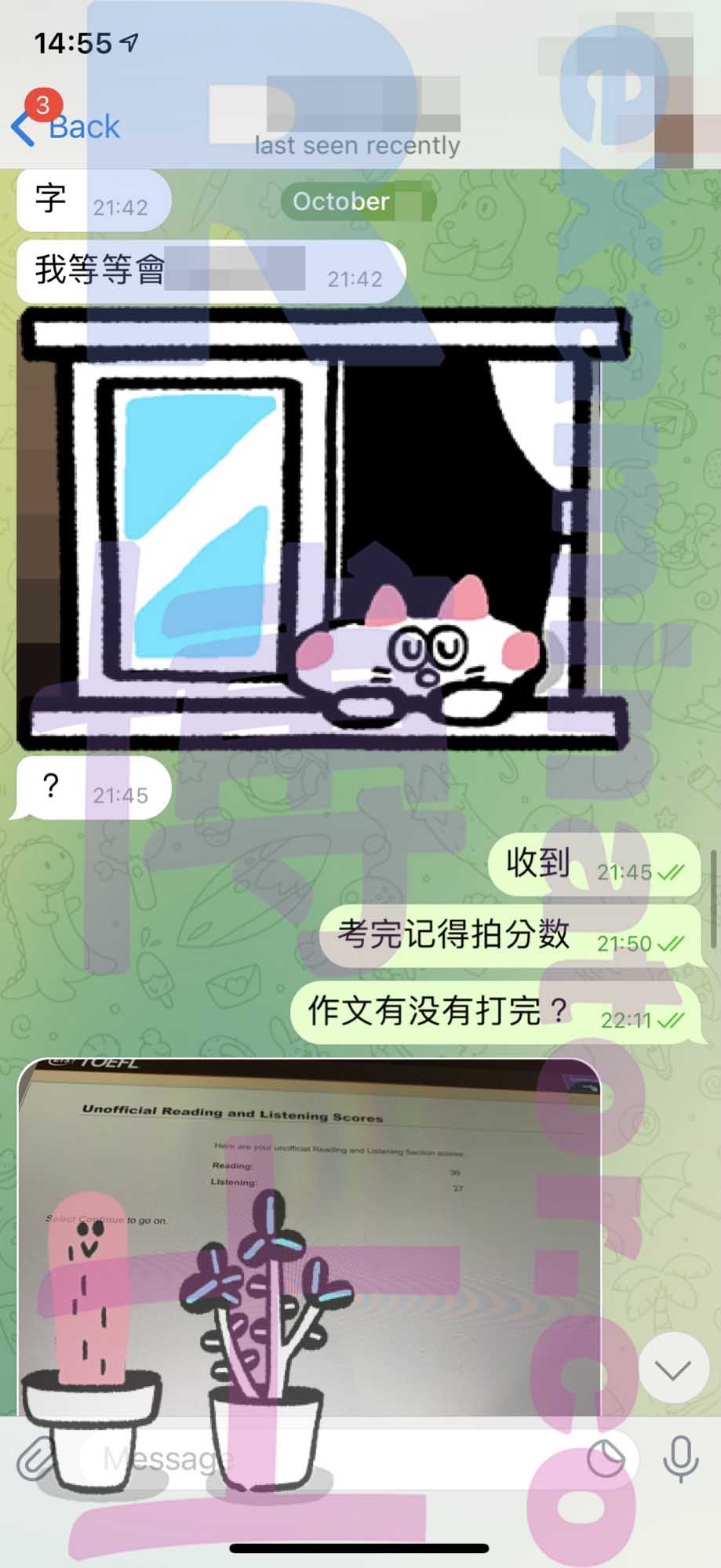 托福代考保分成功案例#233的与客户对话截图